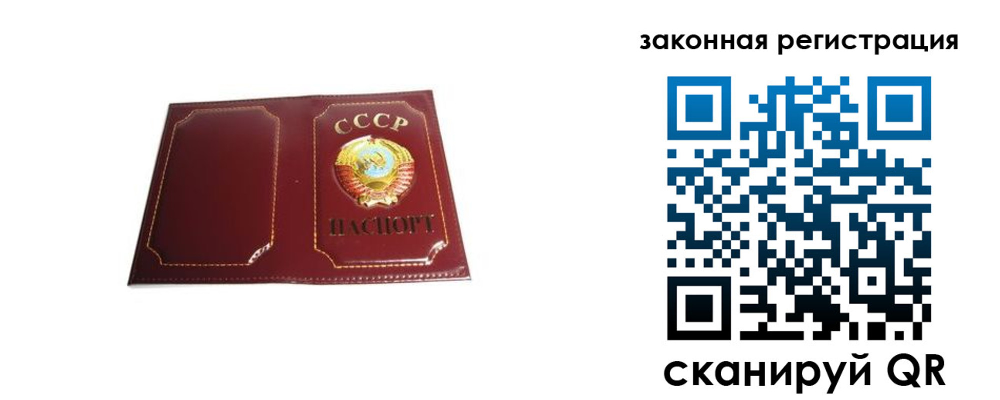 прописка поиск в Заинске